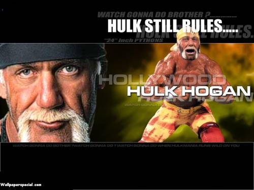 Hulk Hogan